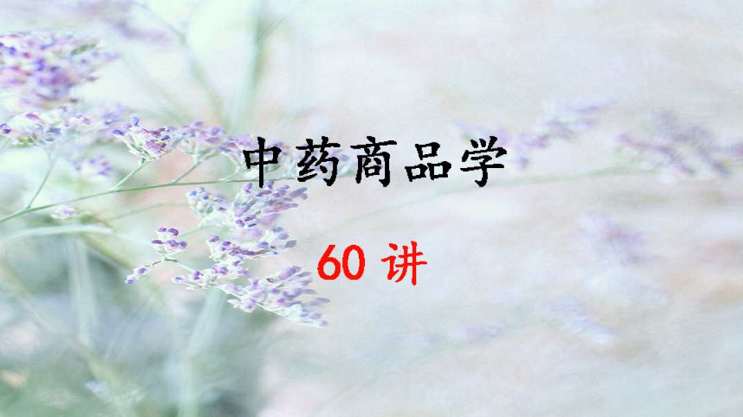 张贵君 中药商品学全60集,管理,专业,中医,第1张