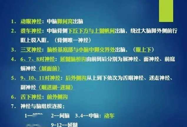 傅瑜 颅神经解剖,第1张