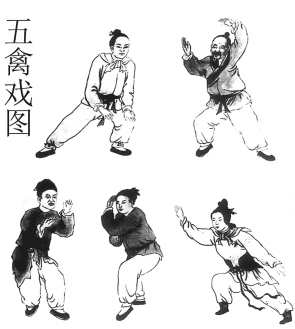 吴争鸣 五禽戏介绍,健康,健身,办公,第1张