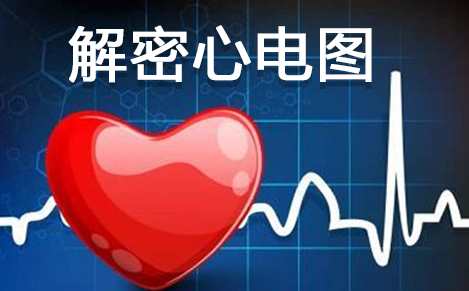 解密心电图 如何迅速读懂心电图,课程,学习,专业,理解,第1张