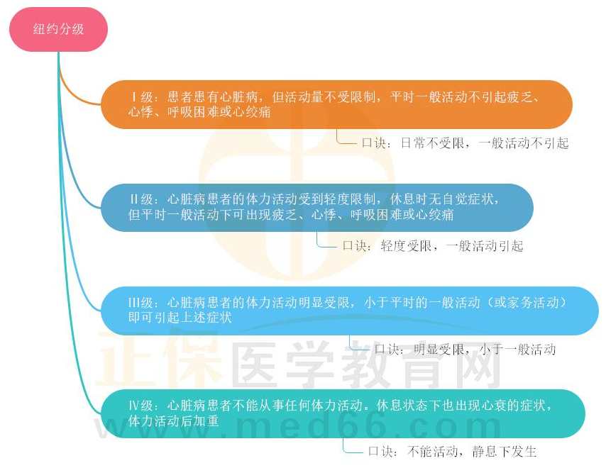 执业医师 心血管系统医师特训营,课程,第1张