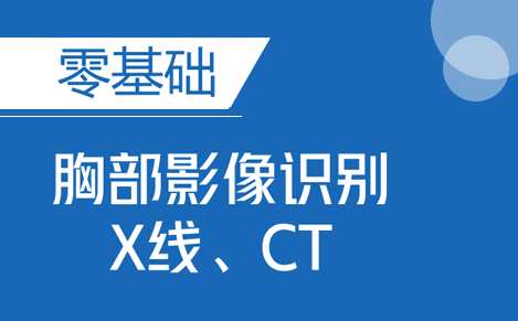 影像医学 零基础胸部影像识别X线CT,课程,学习,发展,养成,第1张