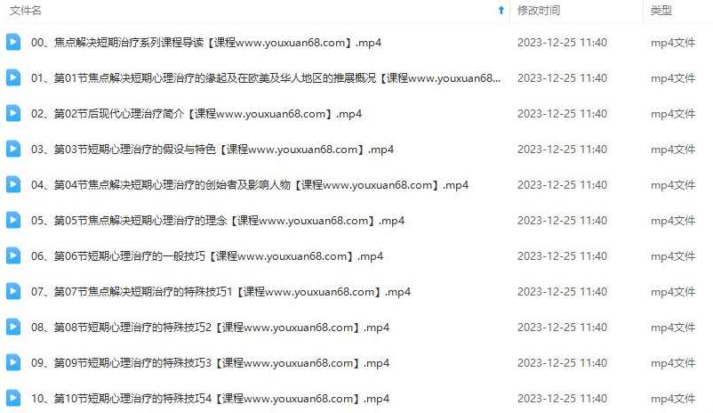 张德聪焦点解决短期疗法 6个基本技术及四大应用模块,课程,学习,管理,发展,目标,第2张