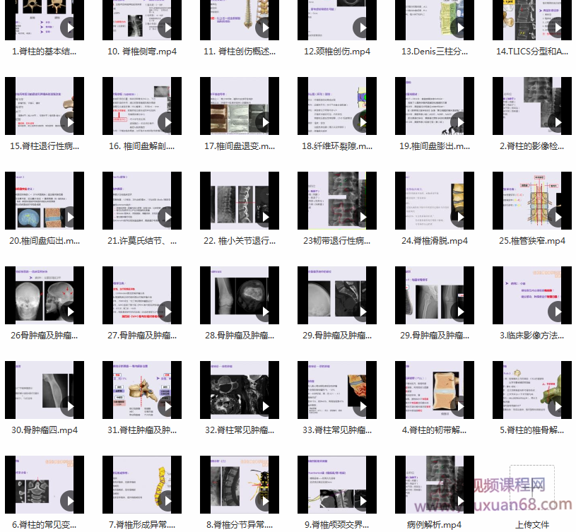 DXY|手把手教你读懂脊柱CT,课程,定位,第2张 DXY|手把手教你读懂脊柱CT,课程,定位,第2张