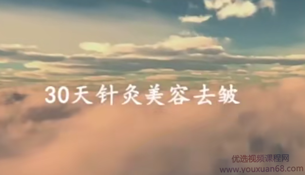 针灸美容美雕针面针,课程,第1张