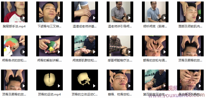 颅骶疗法2020在线网课34节手法实操高清干货演示送温普成颅骶手法,课程,运动,平衡,放松,第1张