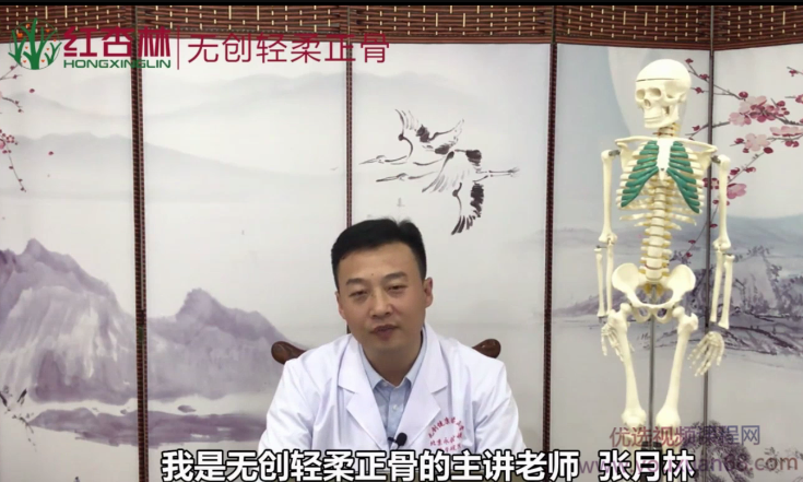 张月林无创轻柔正骨 初级参考班(38讲),课程,定位,适应,第1张