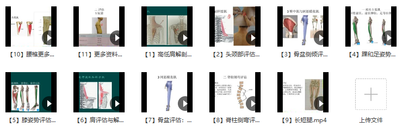 郑大解剖学人体姿势评估与解剖学分析（进阶）徐高磊,课程,微信,第2张