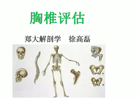 郑大解剖学人体姿势评估与解剖学分析（进阶）徐高磊,课程,微信,第1张