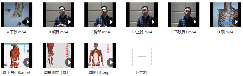 李哲教你学解剖视频9集,课程,第2张