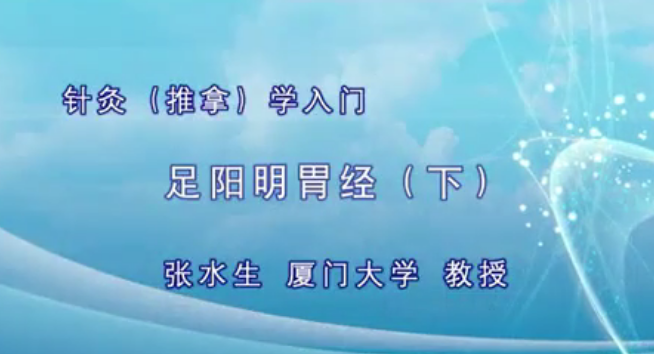 针灸入门：张水生-厦门大学（全41讲·完整版）,课程,按摩,第1张