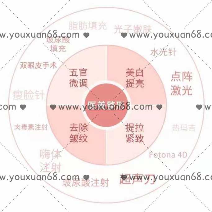 丁香妈妈·医美整形攻略2021版,课程,攻略,第1张