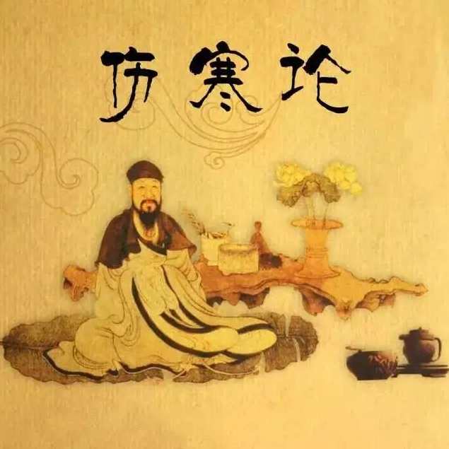 鲁法庭精简实战《伤寒论》音频课程20集,课程,适应,第1张