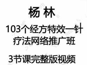 杨林103个经方特效一针疗法,课程,第1张