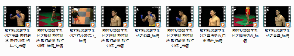 散打视频教学全系列_散打训练格斗术