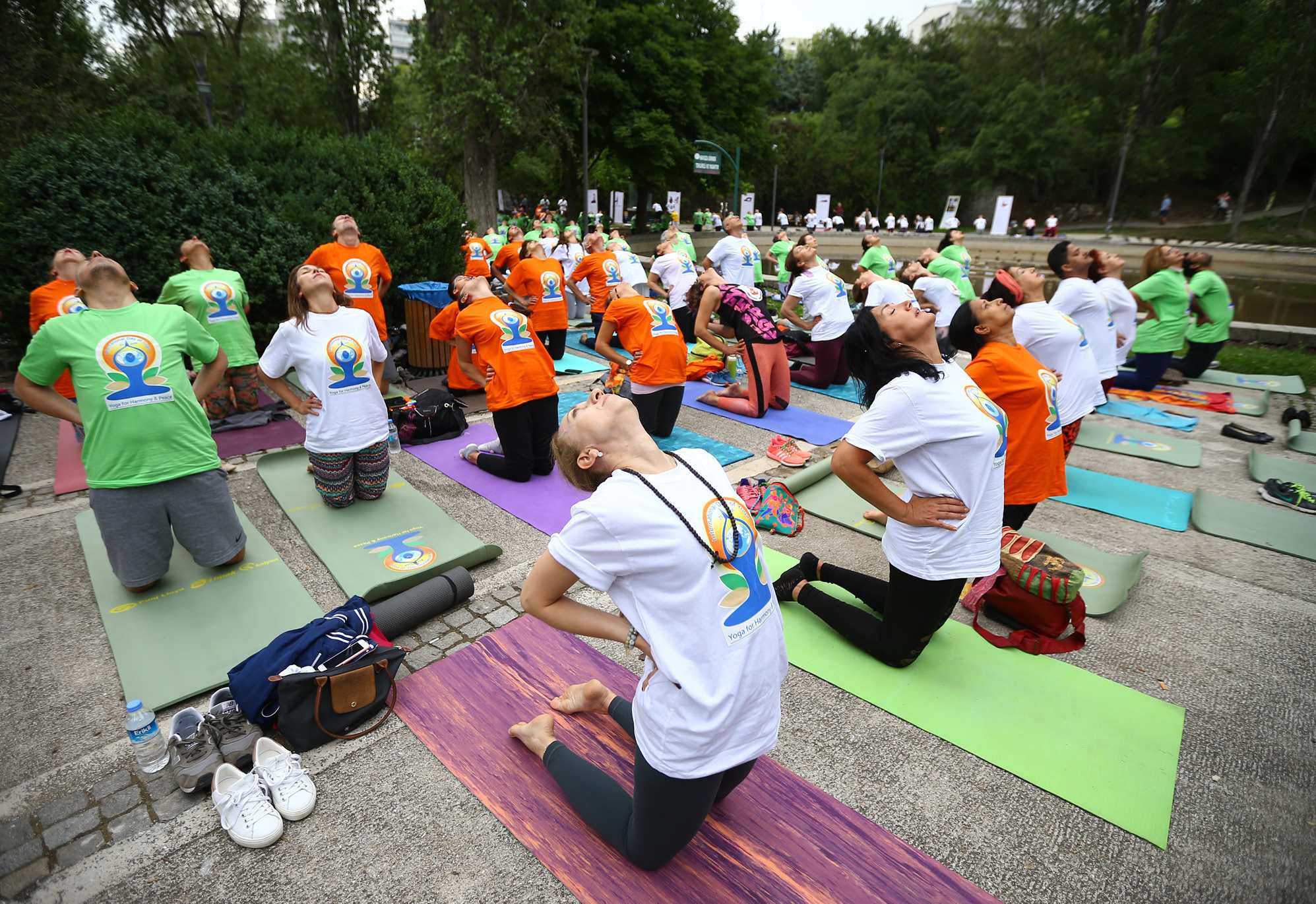 印度莫汉 纯粹瑜伽,课程,理解,教育,健康,放松,第1张