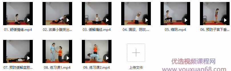 王媚-女性私密瑜伽之盆底肌修复系列 9课,课程,瑜伽,协调,第2张