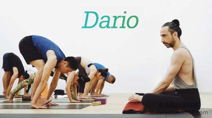 Navakarṇa Vinyāsa 体系工作坊 和Dario一起从更深入的视角去理解瑜伽,课程,学习,发展,理解,平衡,第1张