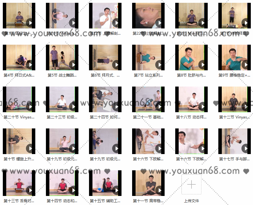 何伟 元素流瑜伽系统基础师资培训,课程,发展,中医,瑜伽,第2张