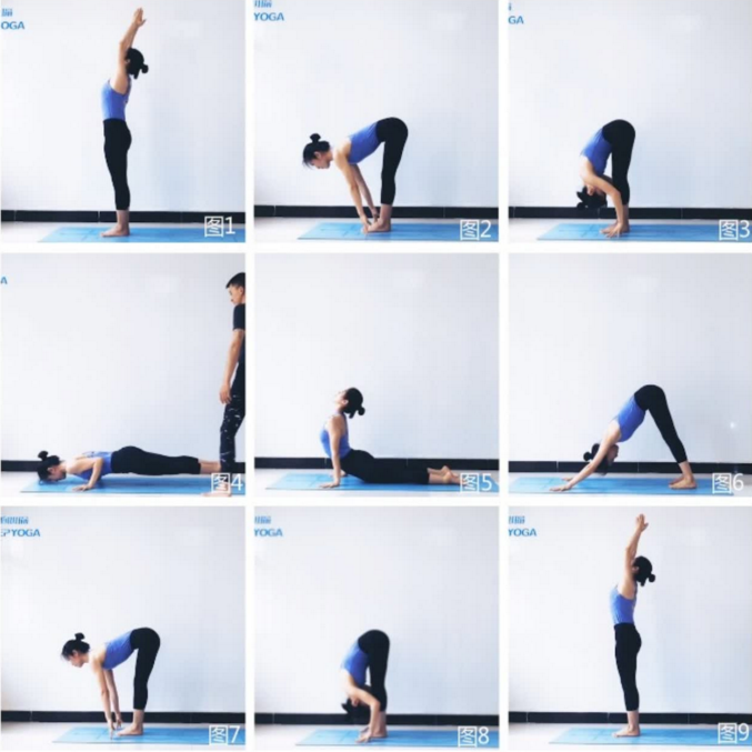 阿斯汤加初级精进系列课,课程,学习,运动,瑜伽,第1张