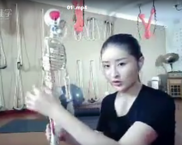 Y1 普拉提垫上动作,普拉提,第1张