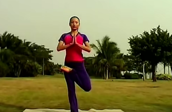 瑜伽初级入门视频,课程,瑜伽,第1张