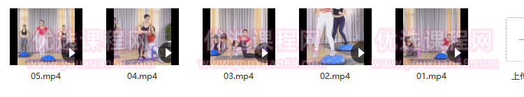 刘希芳大弟子大宝 维秘波速球大全有氧套路精品课,课程,目标,模板,运动,第2张 刘希芳大弟子大宝 维秘波速球大全有氧套路精品课,课程,目标,模板,运动,第2张