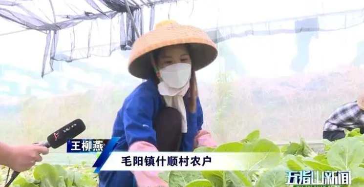 毛晓农 企业家养生之道,发展,健康,中医,责任,养生,第1张