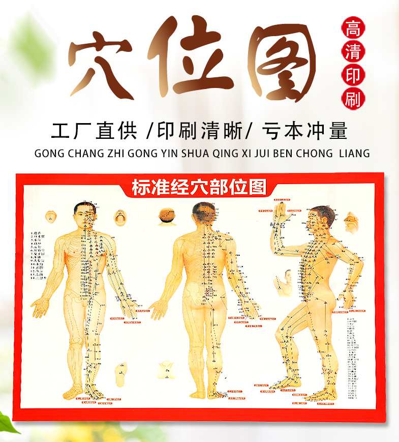 人体穴位 清晰彩图,第1张