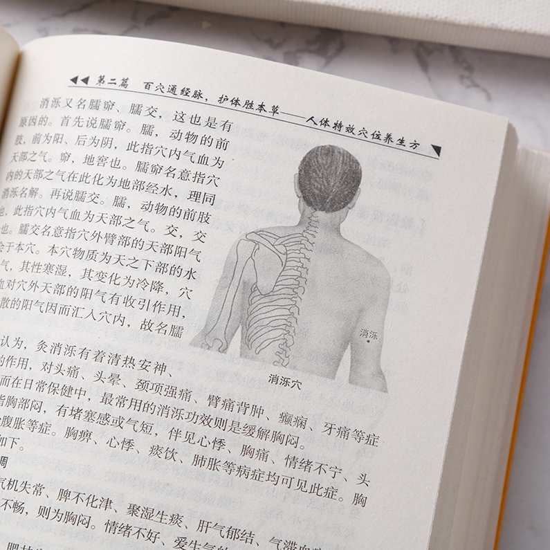 经络美体课 居家经络 纤体 俏脸 养生专业课,课程,学习,专业,直播,健康,第1张