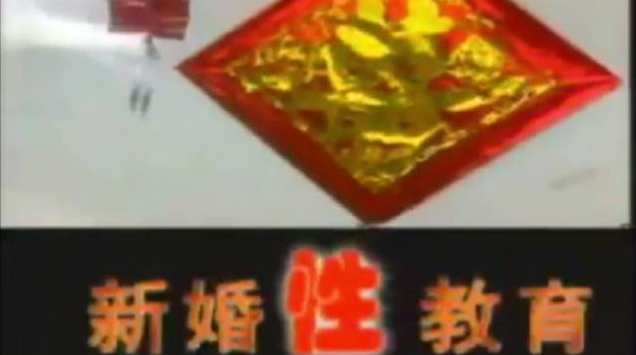 《科教专题片-新婚指南》献给在新年结婚的年轻人的新年礼物,第1张