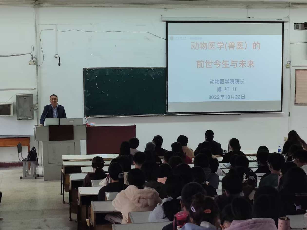 魏红 破解自己的健康密码高清,学习,管理,教育,成长,健康,第1张