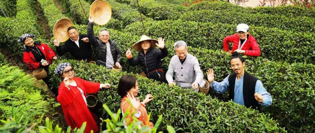 吴必强 太极养生,养生,第1张