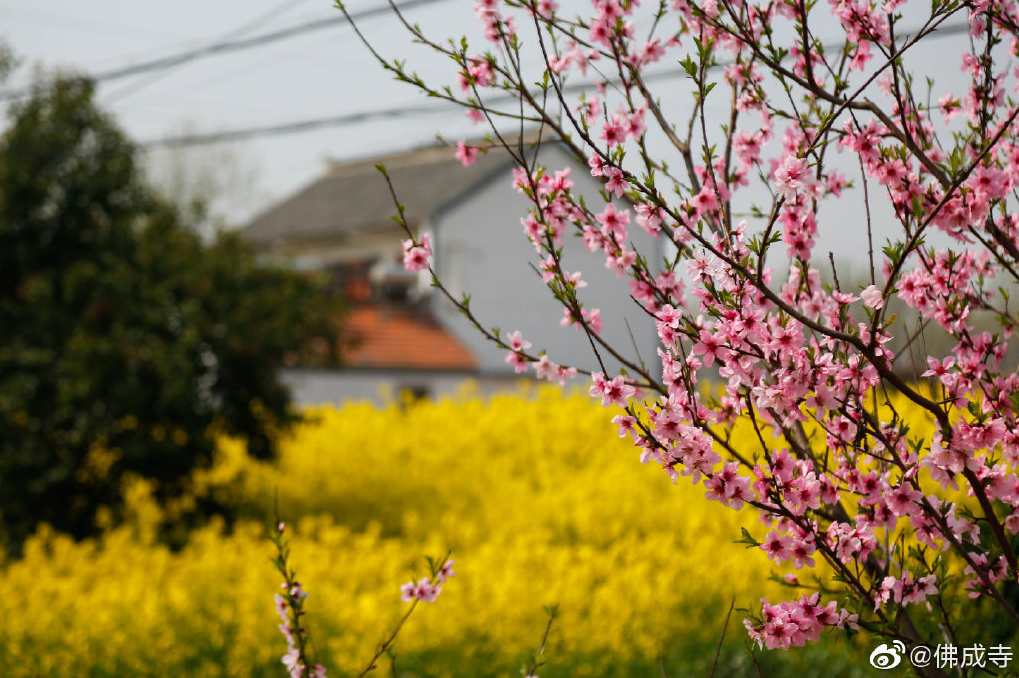 沙凤桐 养生堂-慧眼识健康,发展,健康,中医,坚持,养生,第1张