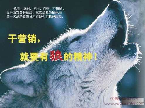 狼性营销之捡钱流氓