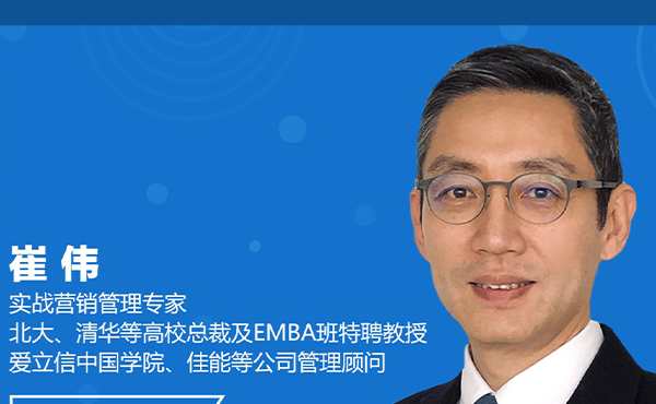 崔伟 量化营销-年度营销计划