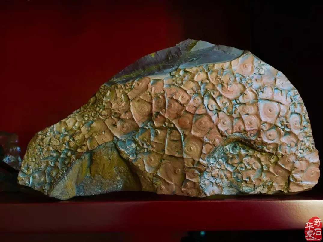 石金瑞 让你的网站会赚钱-营销型网站建站技巧高清