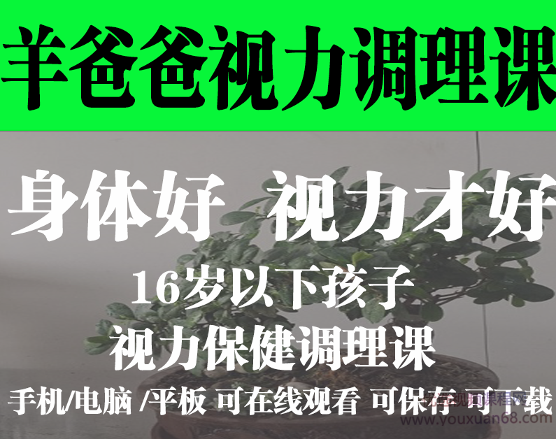 羊爸爸16岁以下孩子的视力保健调理课