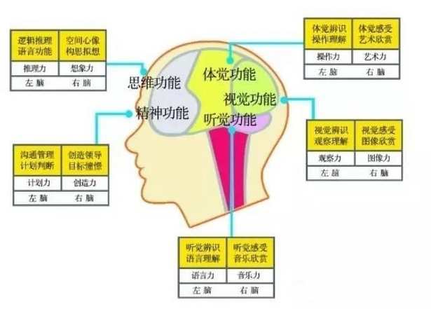 记忆教程 大脑训练记忆力大师快速学习培训视频教程新合集,课程,学习,管理,发展,教育,第1张