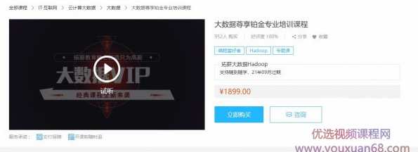 拓薪教育 架构师专属之大数据VIP(大数据尊享铂金专业培训课程) 价值1899元,课程,学习,管理,发展,专业,第2张 拓薪教育 架构师专属之大数据VIP(大数据尊享铂金专业培训课程) 价值1899元,课程,学习,管理,发展,专业,第2张