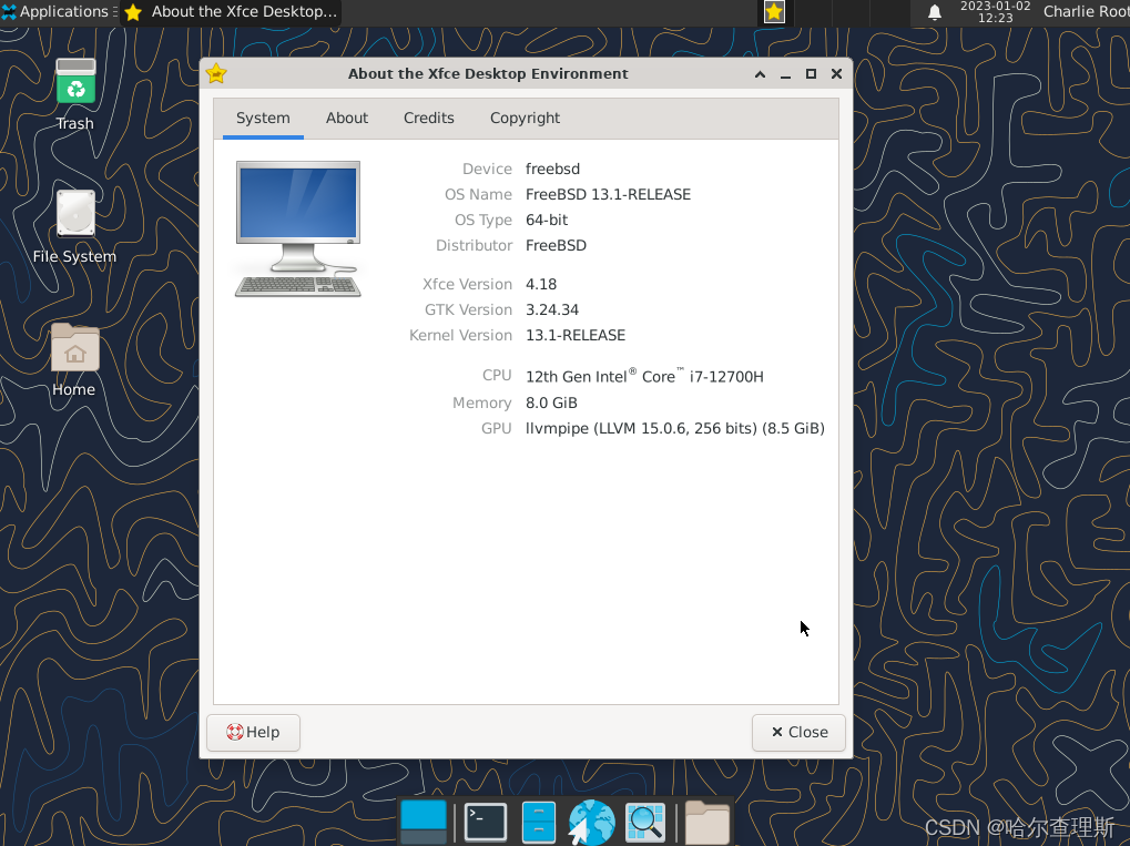 Freebsd服务器安装系列视频教程 - 提供