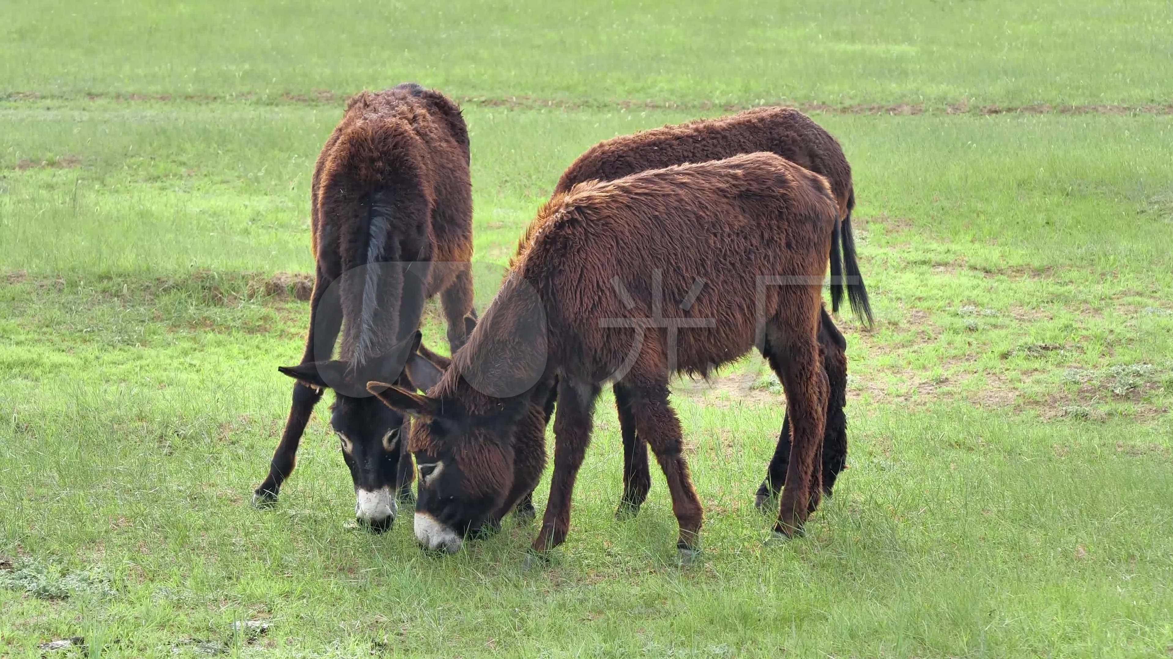 会飞的小毛驴 中金学院9月第一期学员结业培训班,第1张