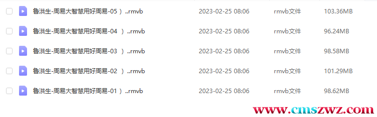 鲁洪生 周易大智慧用好周易