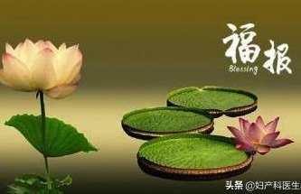 潘长军 城市楼房风水（全集视频）