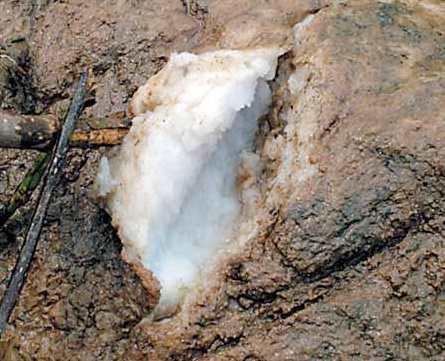 伍建宏 大六壬通道面授+ 讲义 全集