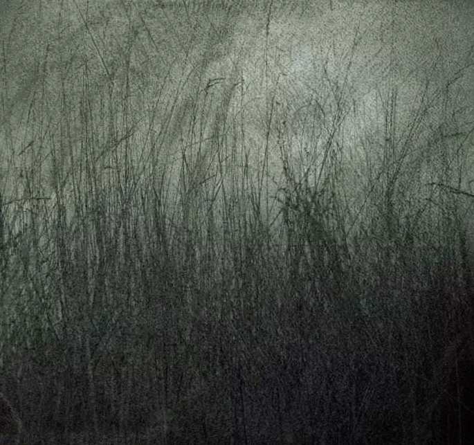 田建民 鲁迅和他的《野草》全14集,艺术,第1张