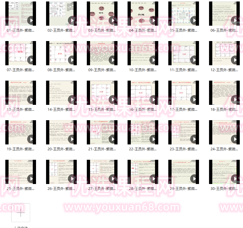 九龙道长-王员外斗数紫微斗数课程,课程,第2张