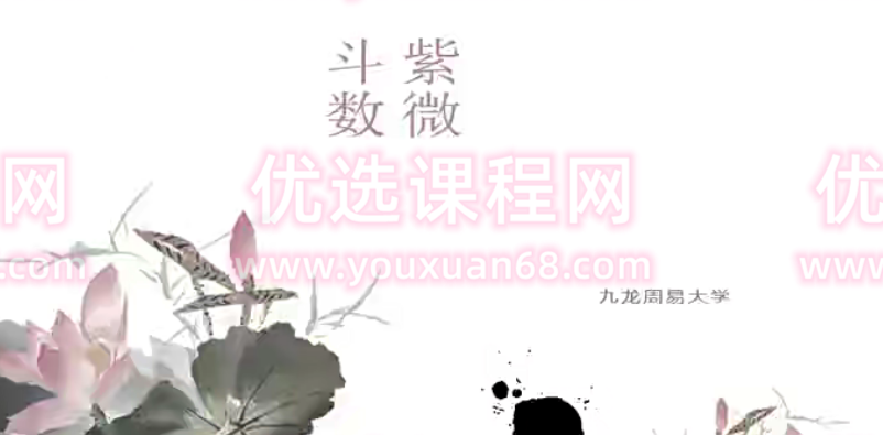 九龙道长-王员外斗数紫微斗数课程