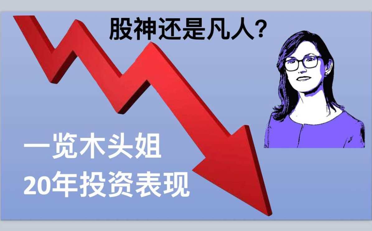 木头玩股 独家揭秘如何选取翻倍龙头,课程,领导,博客,第1张