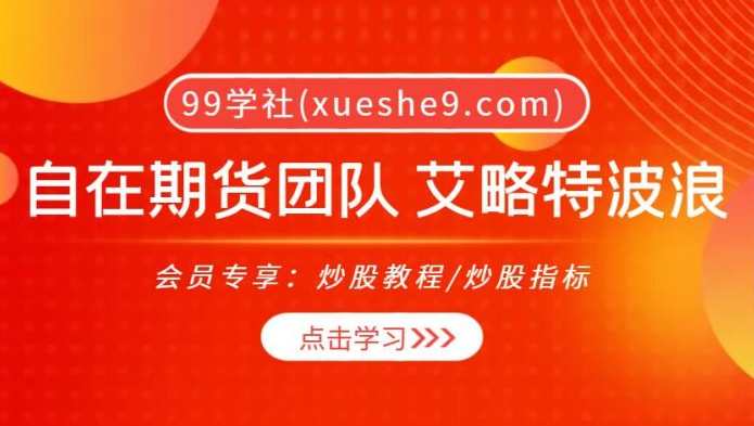 自在 期货艾略特波浪股市期货黄金白银自在先生讲座全套完整版
